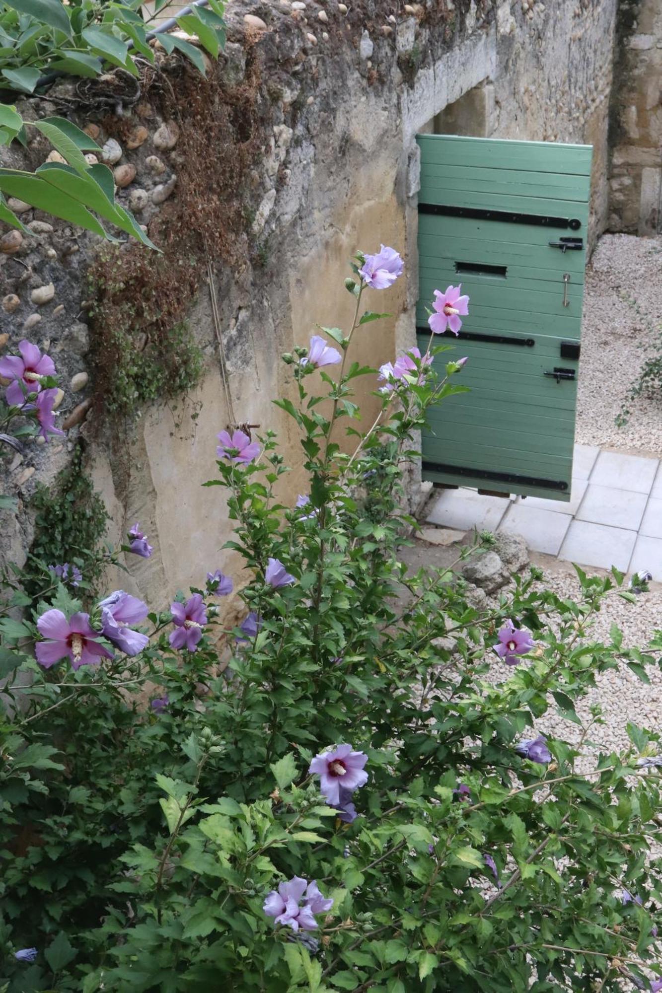 Bastide Juliana Villa Saint-Paul-Trois-Chateaux Luaran gambar
